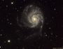 M101