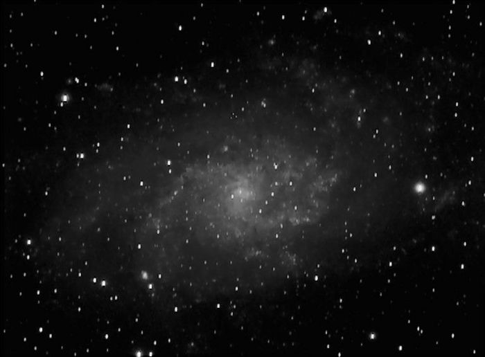 M33