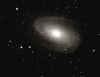 M81