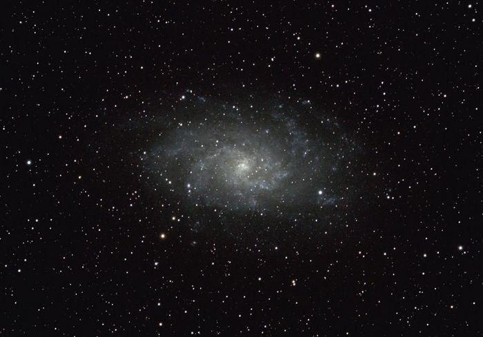 M33