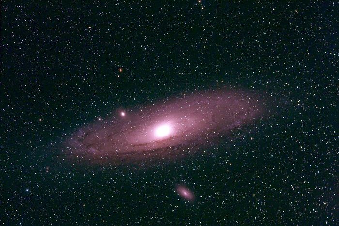 M31