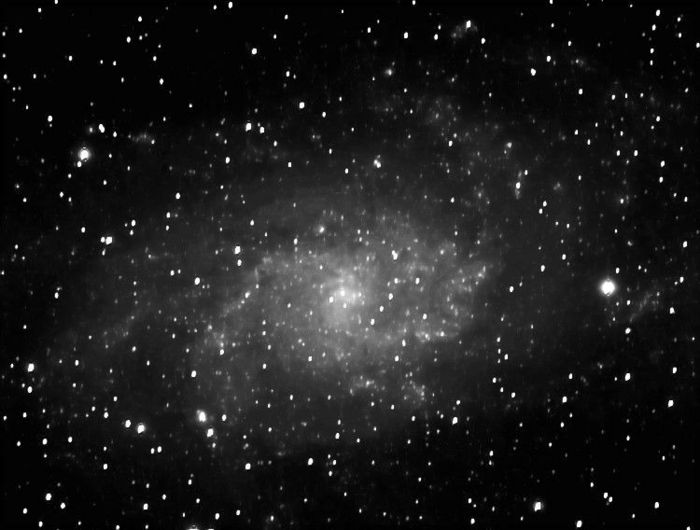 M33 plus net