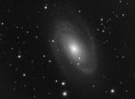 M81