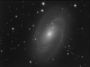 M81