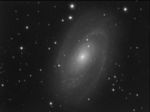 M81