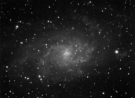 M33