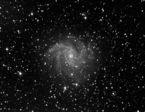 NGC 6946 (Céphée)