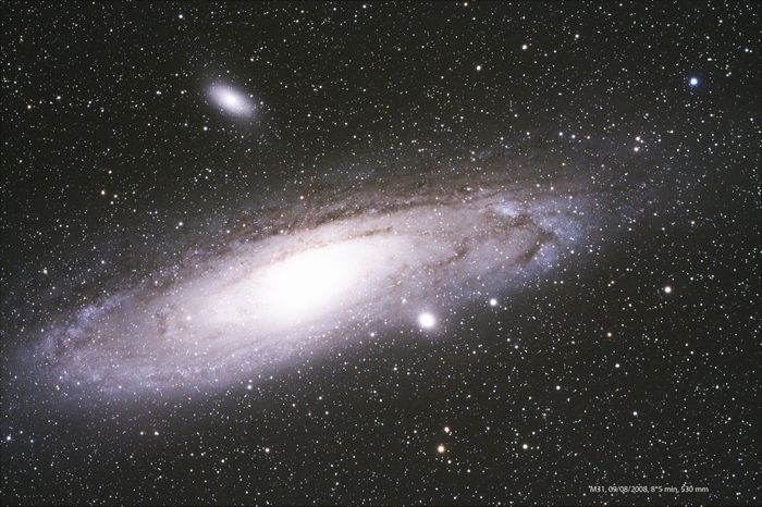 M31