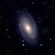 m81