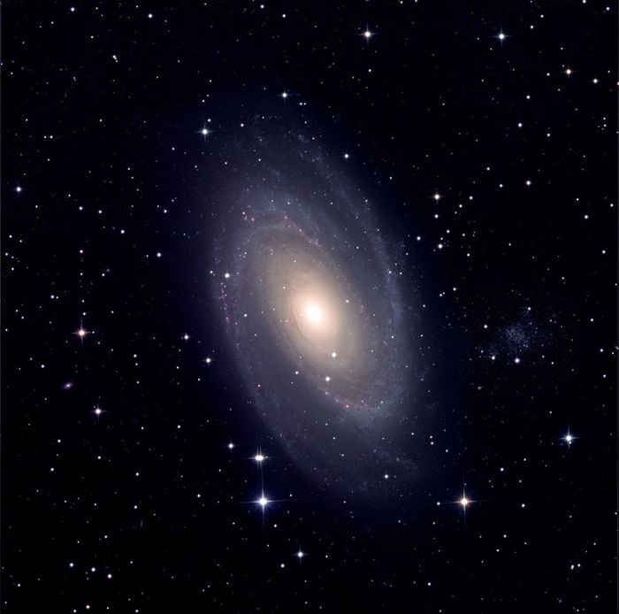 m81