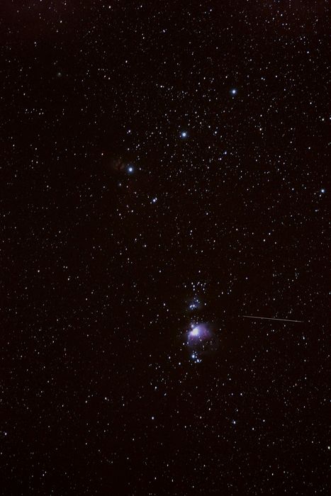 orion