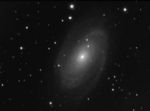 M81