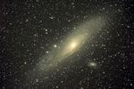 M31