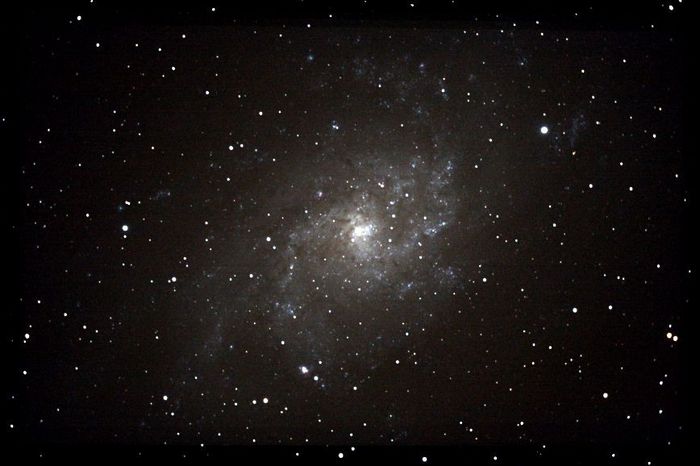 M33