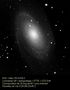 M81