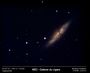 M82, le 31Mars 2006