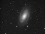 M81